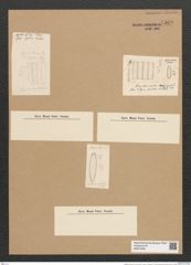 Fragilaria arctica Grun. (de-Toni-Nr.: Genus 73, Species 2714) Zeichnungen Sammlung Grunow Nr. 5569 (NHMW-BOT-W0374036)